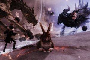 The Elder Scrolls V: Skyrim, Dragon, Rabbits, Magic