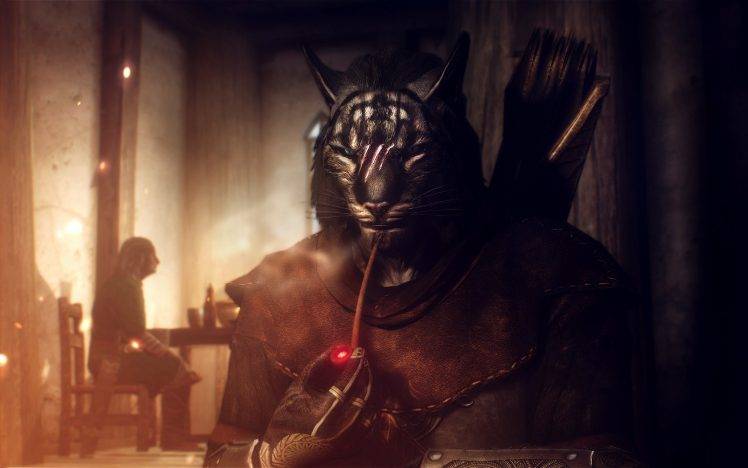 The Elder Scrolls V: Skyrim, Cat, Khajiit HD Wallpaper Desktop Background