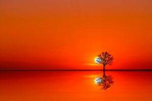nature, Sunset, Trees, Silhouette, Reflection
