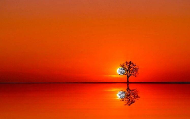 nature, Sunset, Trees, Silhouette, Reflection HD Wallpaper Desktop Background