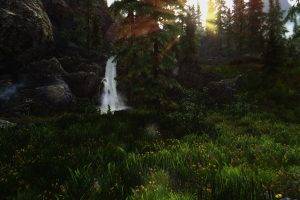 The Elder Scrolls V: Skyrim, Forest, Video Games