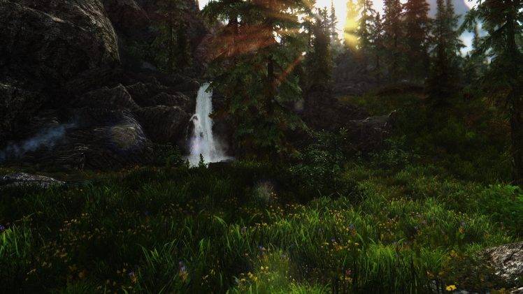 The Elder Scrolls V: Skyrim, Forest, Video Games HD Wallpaper Desktop Background