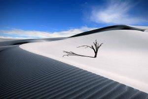 nature, Desert, Sky, Dune, Shadow, Sand, Dead Trees
