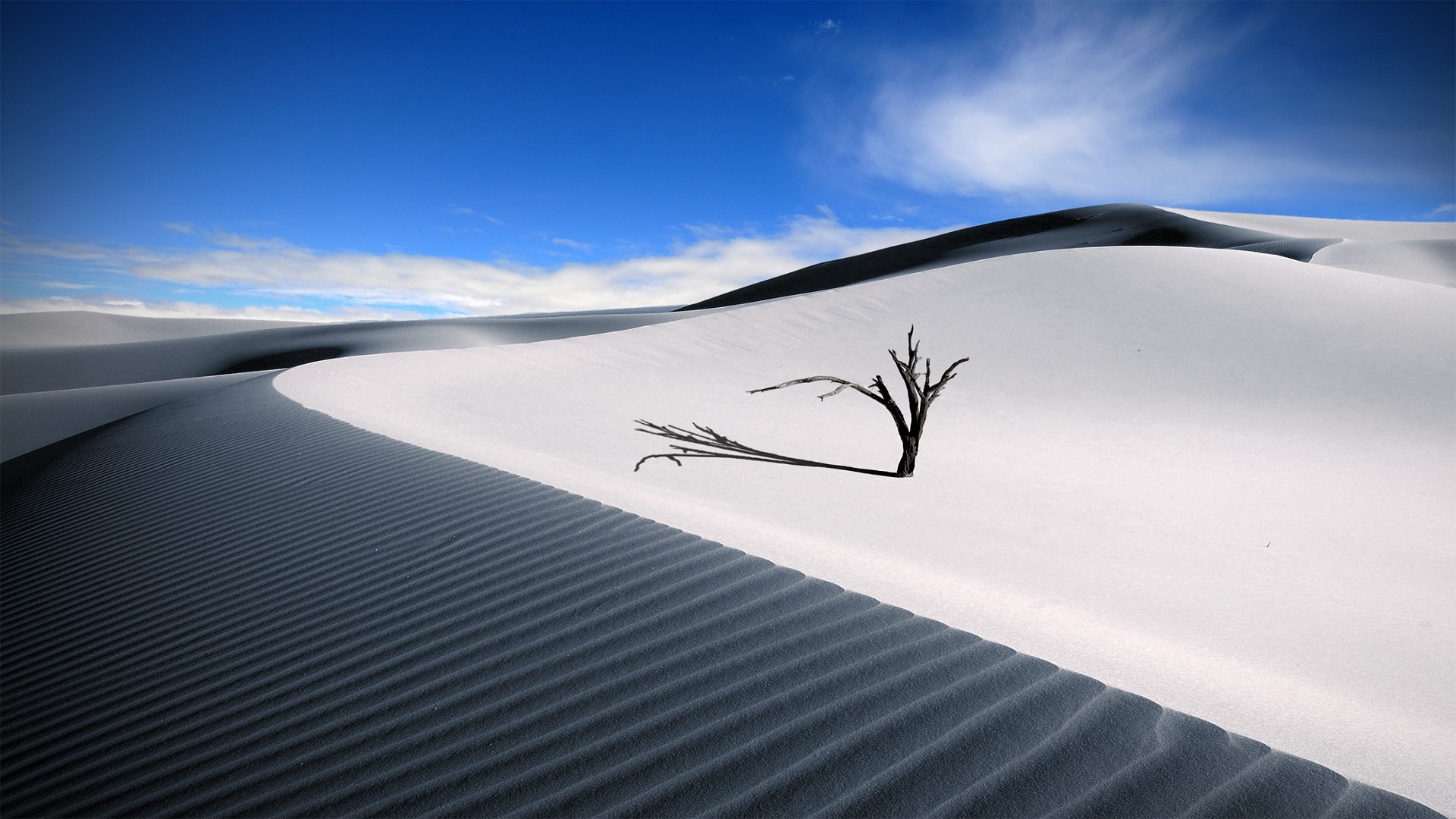 nature, Desert, Sky, Dune, Shadow, Sand, Dead Trees Wallpaper