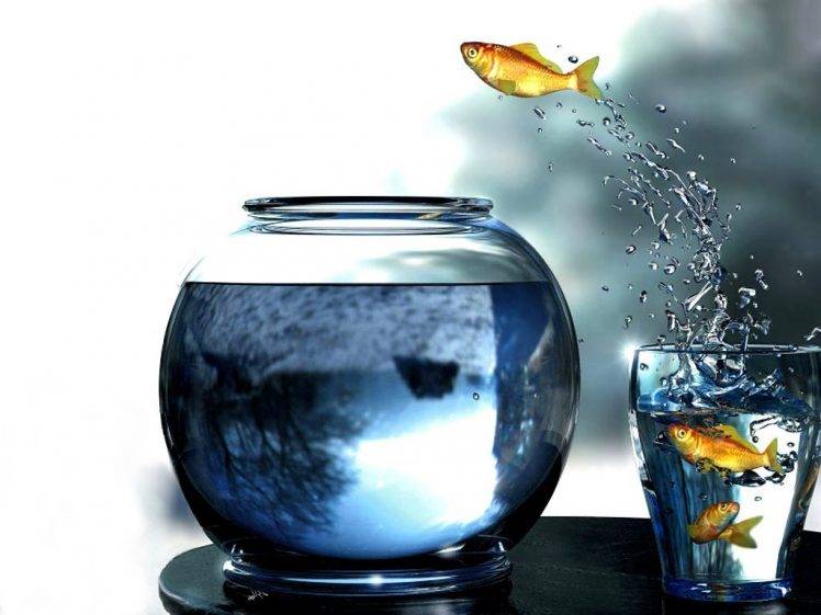 digital Art, Goldfish, Glass, Fishbowls, Fish, Jumping, Water Drops HD Wallpaper Desktop Background