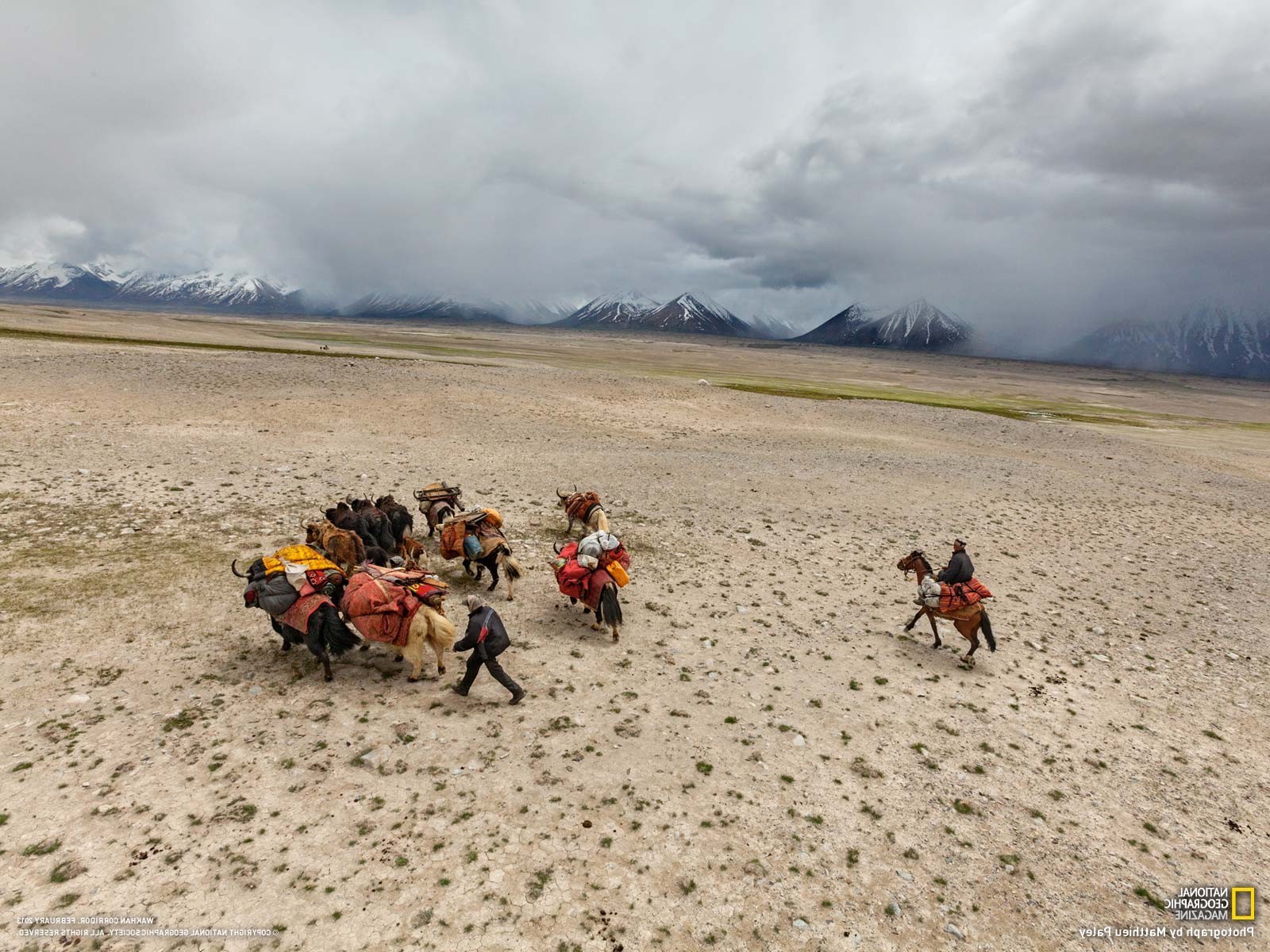 landscape, National Geographic, Desert, Mountain, Animals Wallpaper
