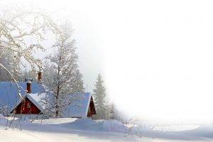 snow, Landscape, Winter, Trees