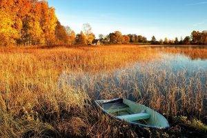 rowboat, Water, Fall, Landscape, Abandoned, Boat, Reeds, Lake
