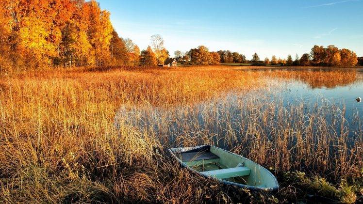 rowboat, Water, Fall, Landscape, Abandoned, Boat, Reeds, Lake HD Wallpaper Desktop Background