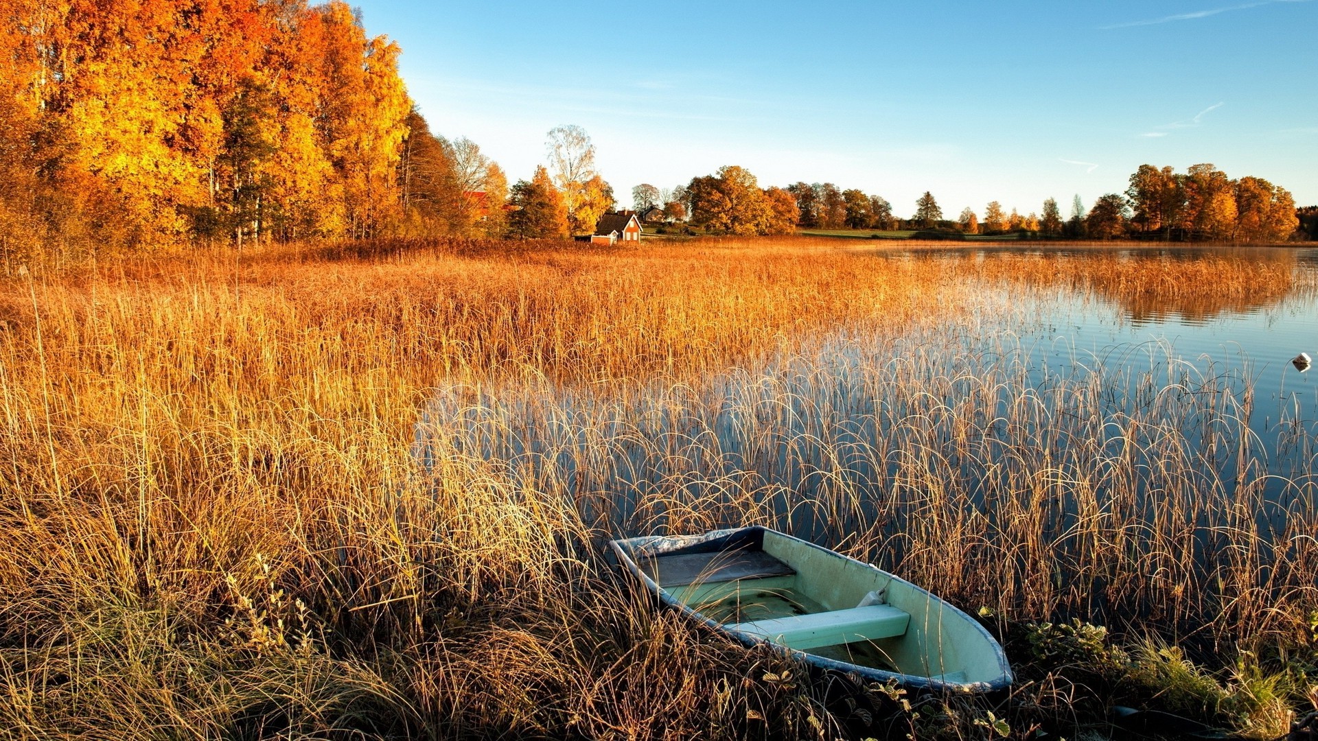 rowboat, Water, Fall, Landscape, Abandoned, Boat, Reeds, Lake Wallpaper