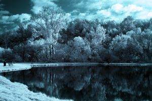 snow, Winter, Lake, Forest, Trees