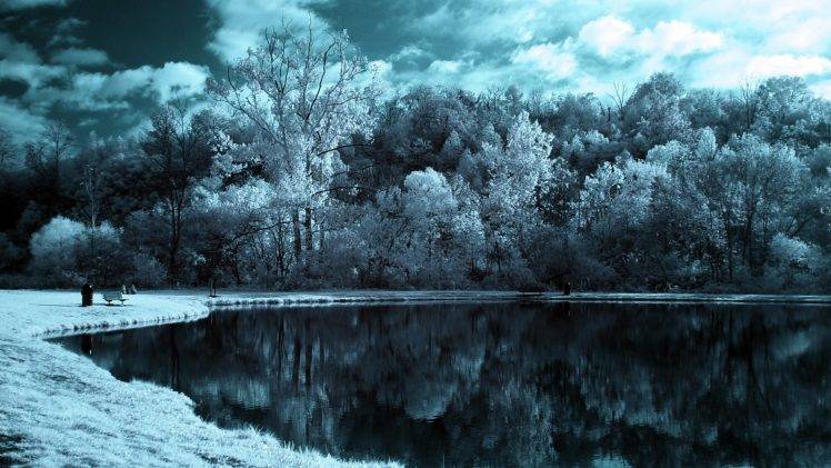 snow, Winter, Lake, Forest, Trees HD Wallpaper Desktop Background