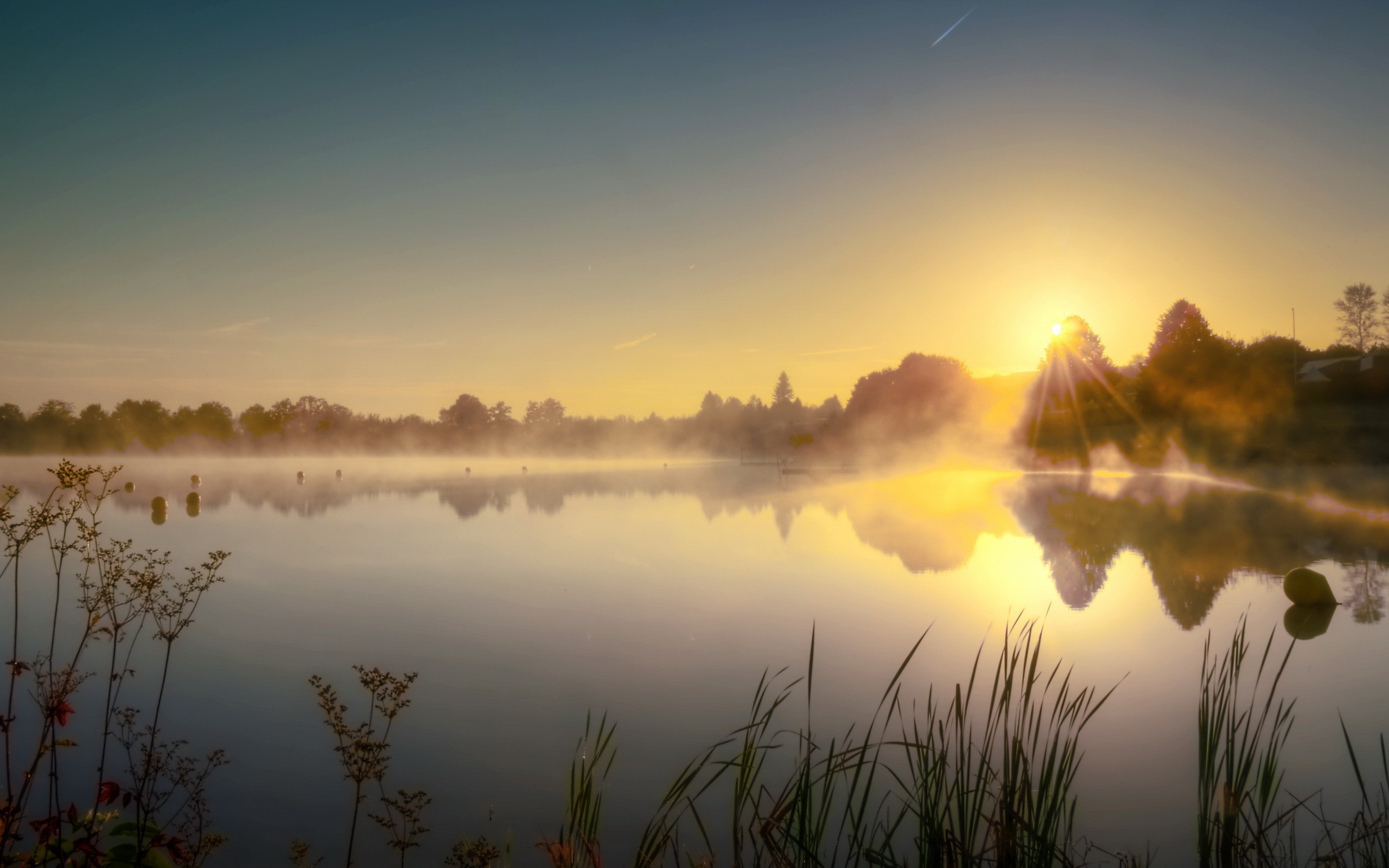 landscape Wallpaper