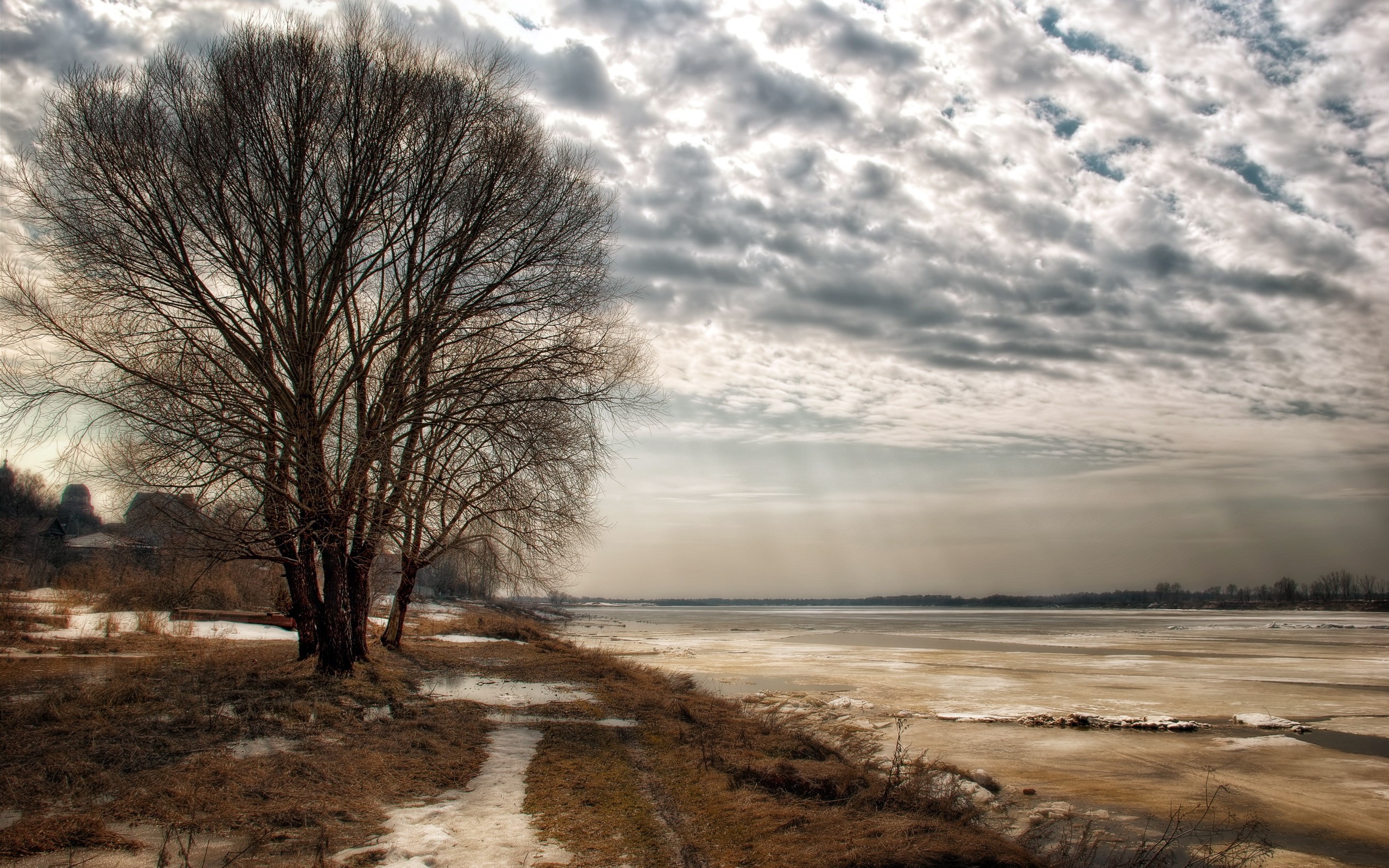 nature, Trees, HDR Wallpaper