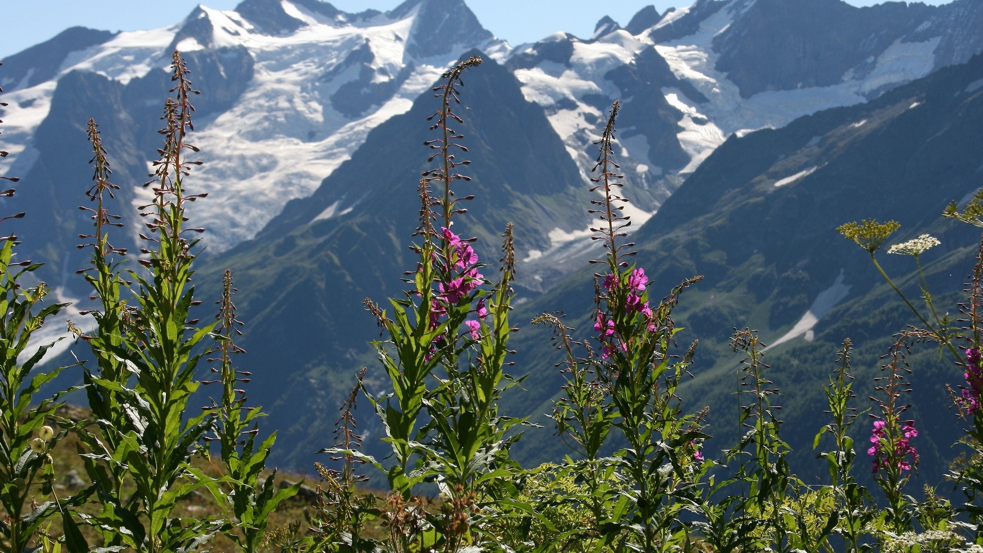 nature, Mountain Wallpaper