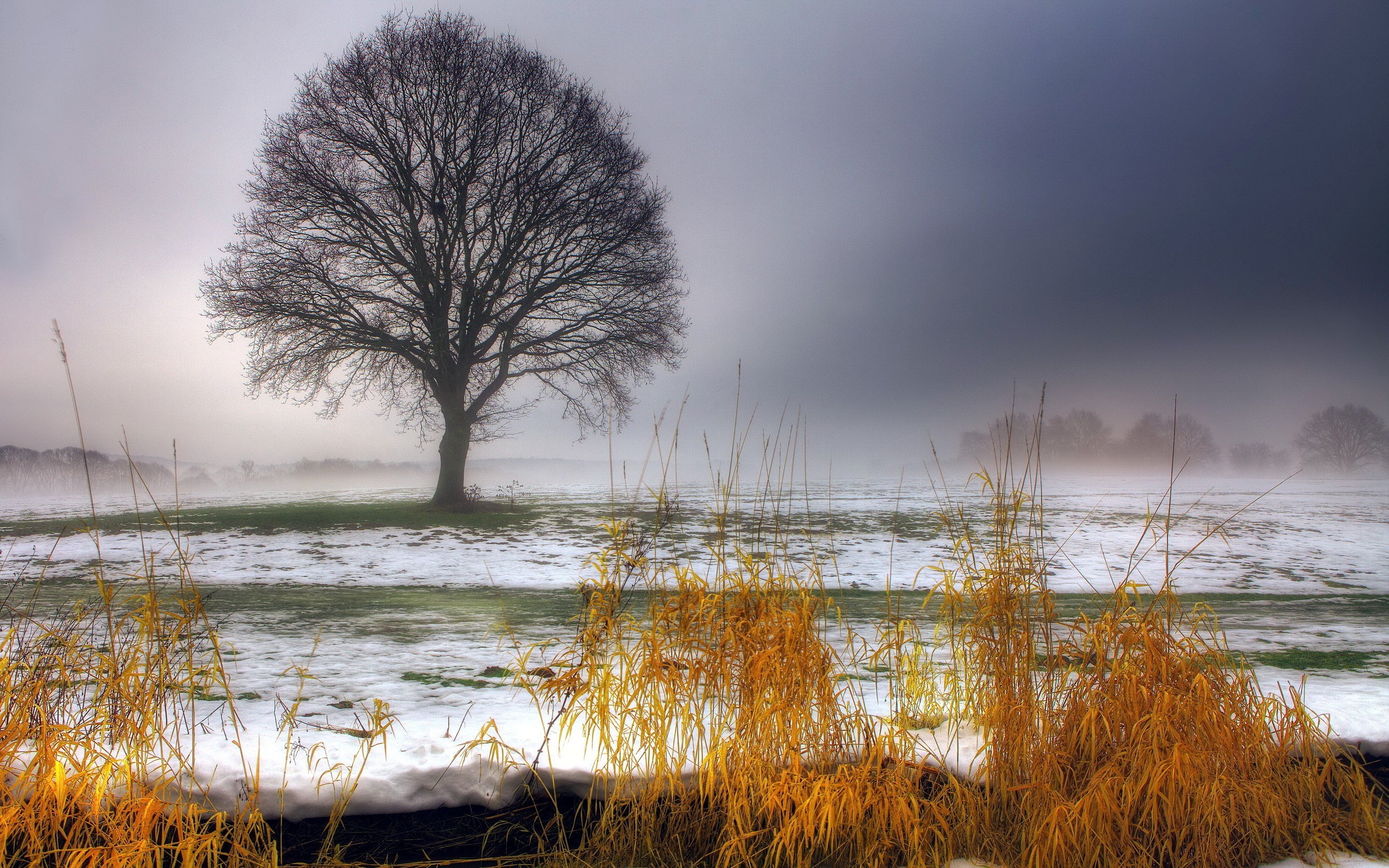 landscape, Mist, Snow, Trees, Field Wallpaper