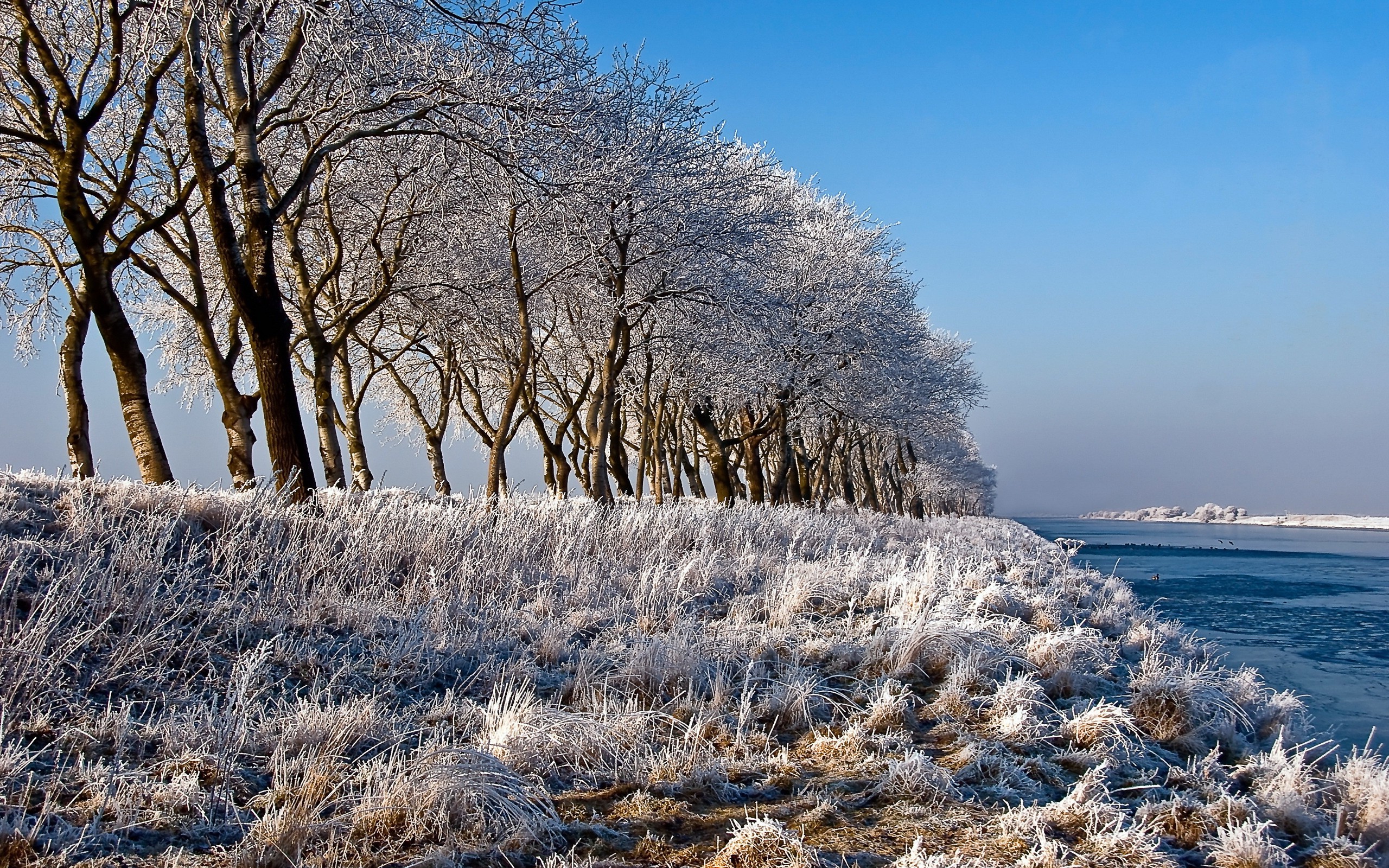 landscape, Nature, Snow Wallpaper