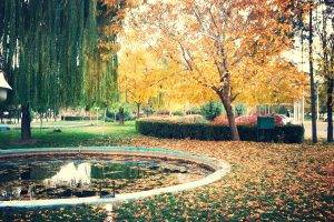 Iran, Kermanshah, Fall, Trees, Nature