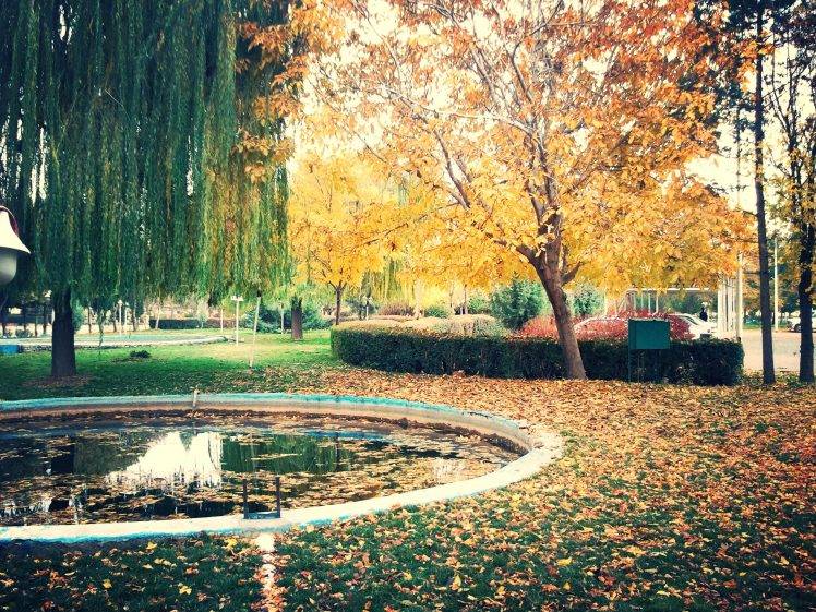 Iran, Kermanshah, Fall, Trees, Nature HD Wallpaper Desktop Background