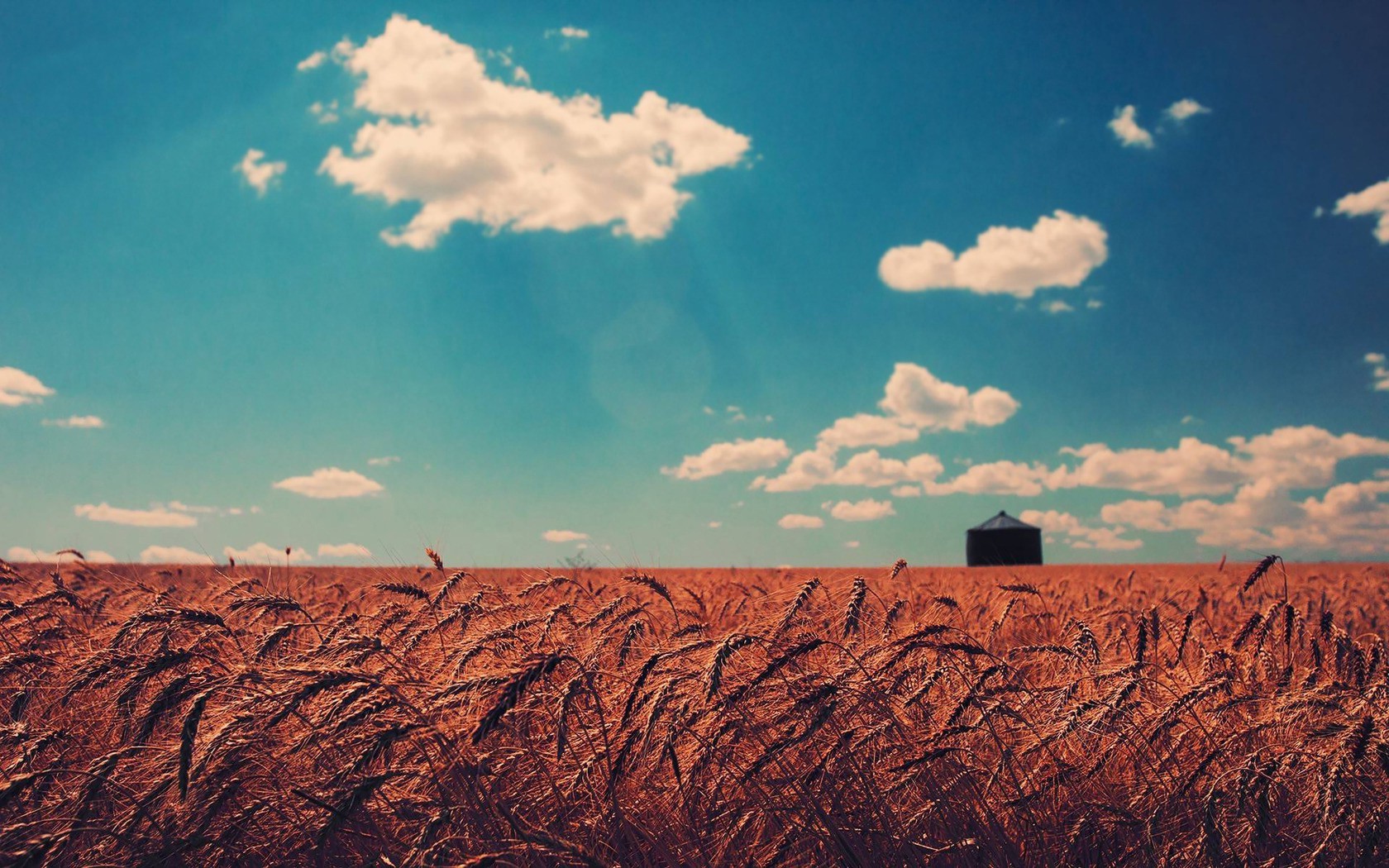 nature Wallpaper