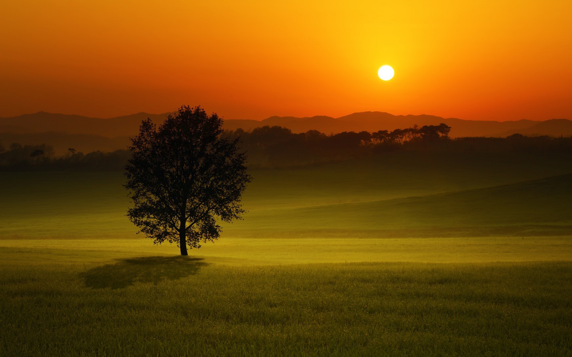 landscape Wallpaper