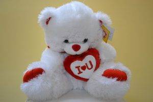 teddy Bears, Love