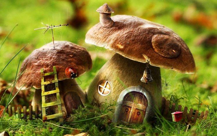 mushroom, House, Nature, Digital Art HD Wallpaper Desktop Background