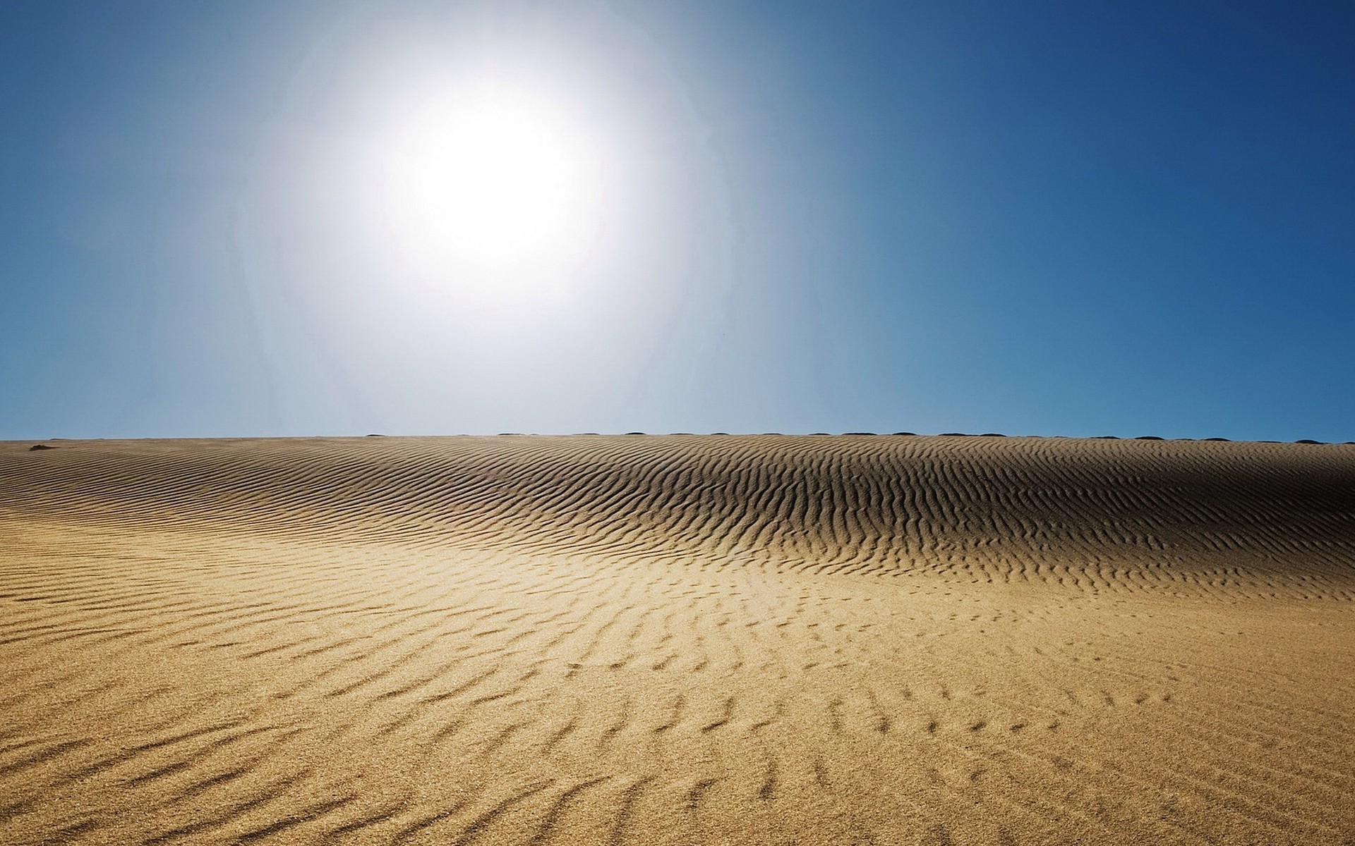 landscape, Sun, Desert, Sand Wallpaper