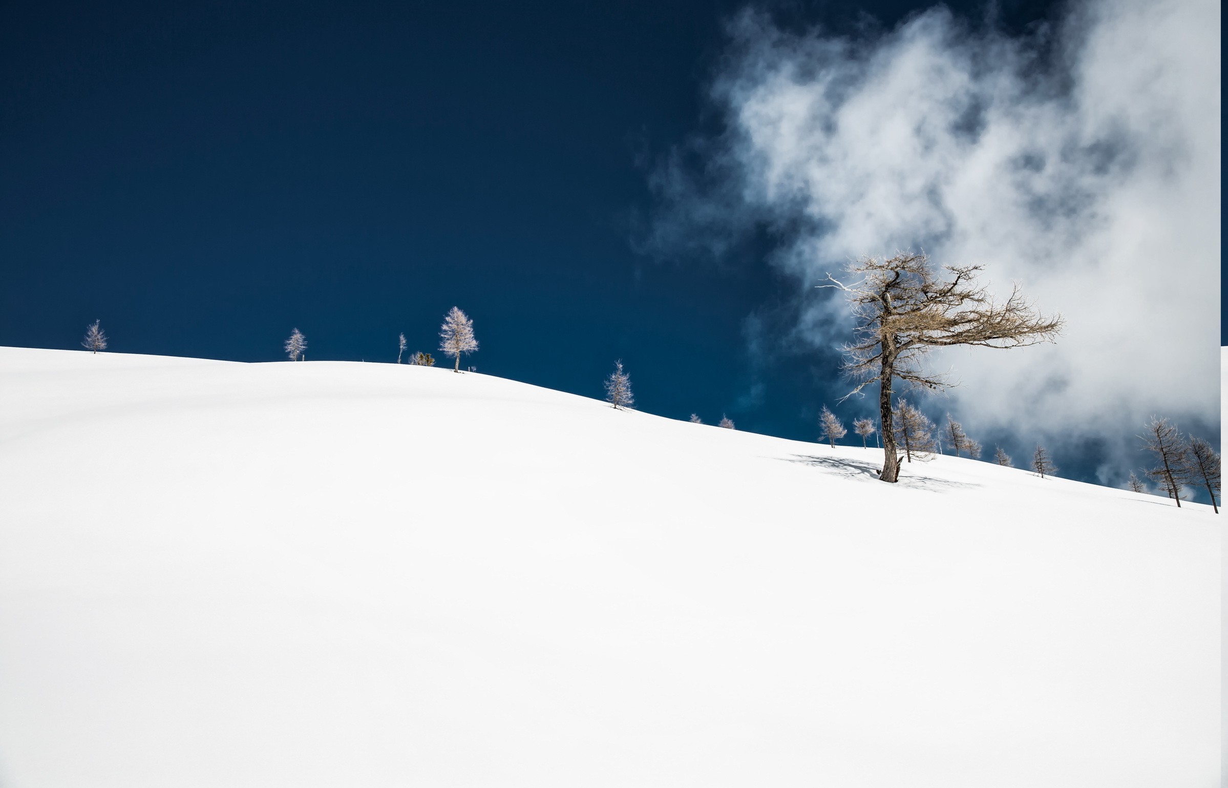 nature, Landscape, Minimalism, Snow, Winter, Trees, Clouds Wallpaper