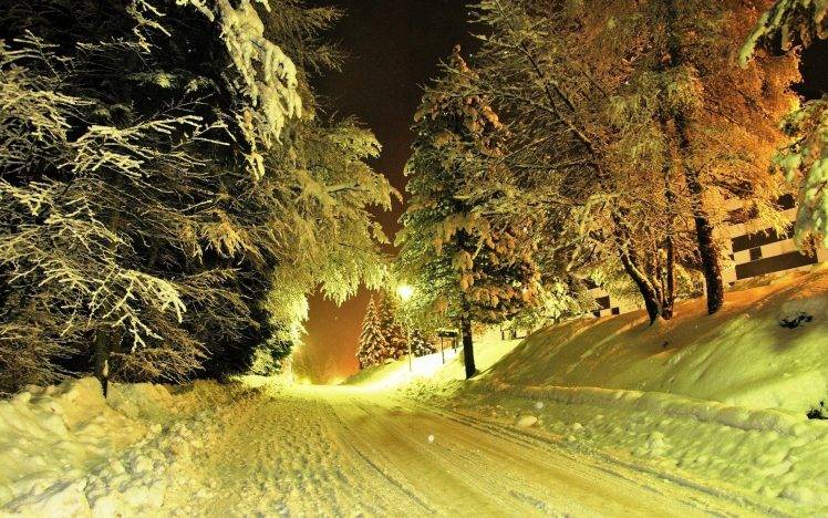 winter, Nature, Snow, Night, Trees, Road, Lights HD Wallpaper Desktop Background