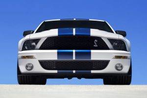vehicle, Ford, 2007 Ford Shelby GT500, Ford Shelby GT500