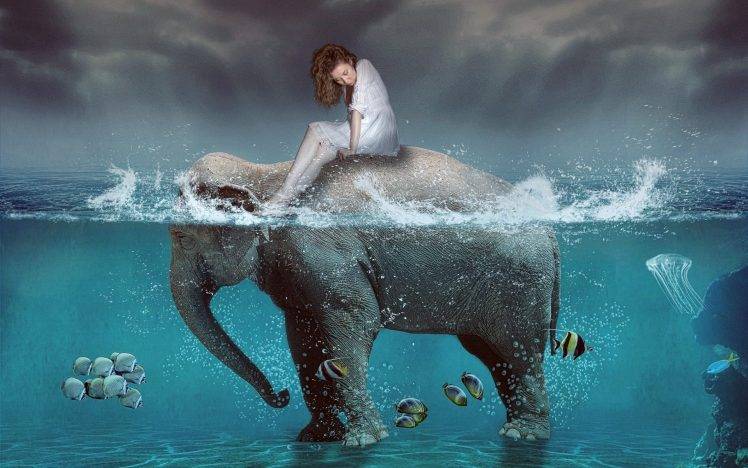 digital Art, Elephants, Fish, Split View HD Wallpaper Desktop Background