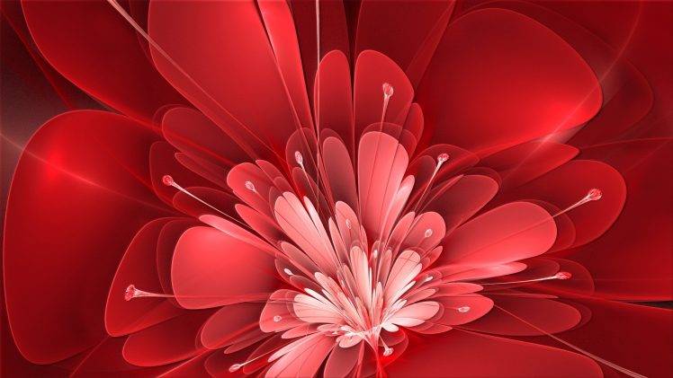 flowers, Red HD Wallpaper Desktop Background