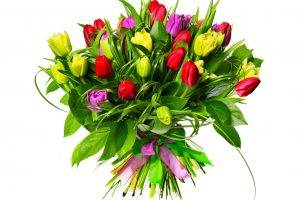 flowers, Bouquets, Tulips