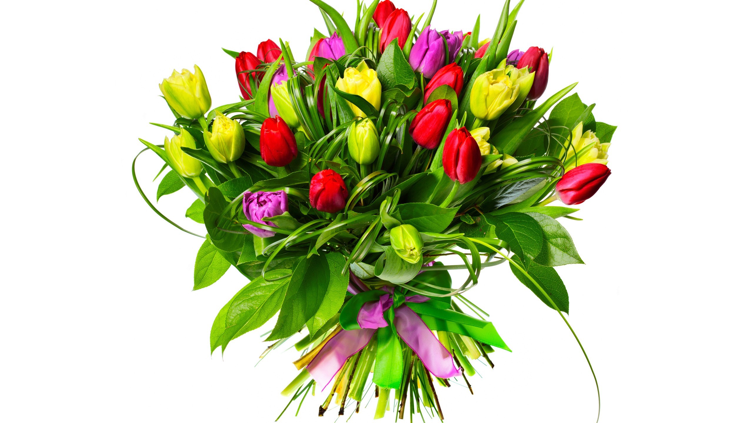 127889 flowers bouquets tulips