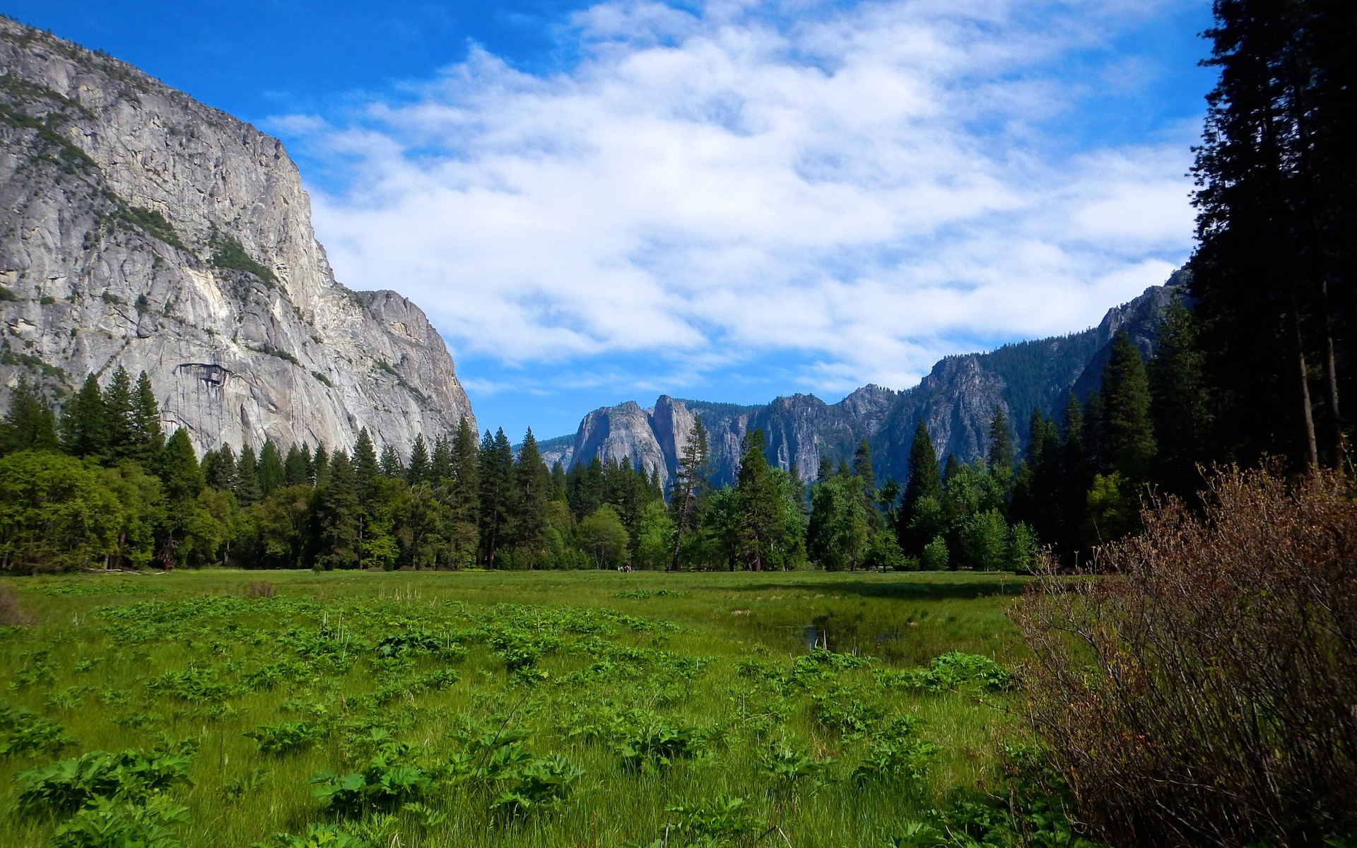 nature, Landscape Wallpaper
