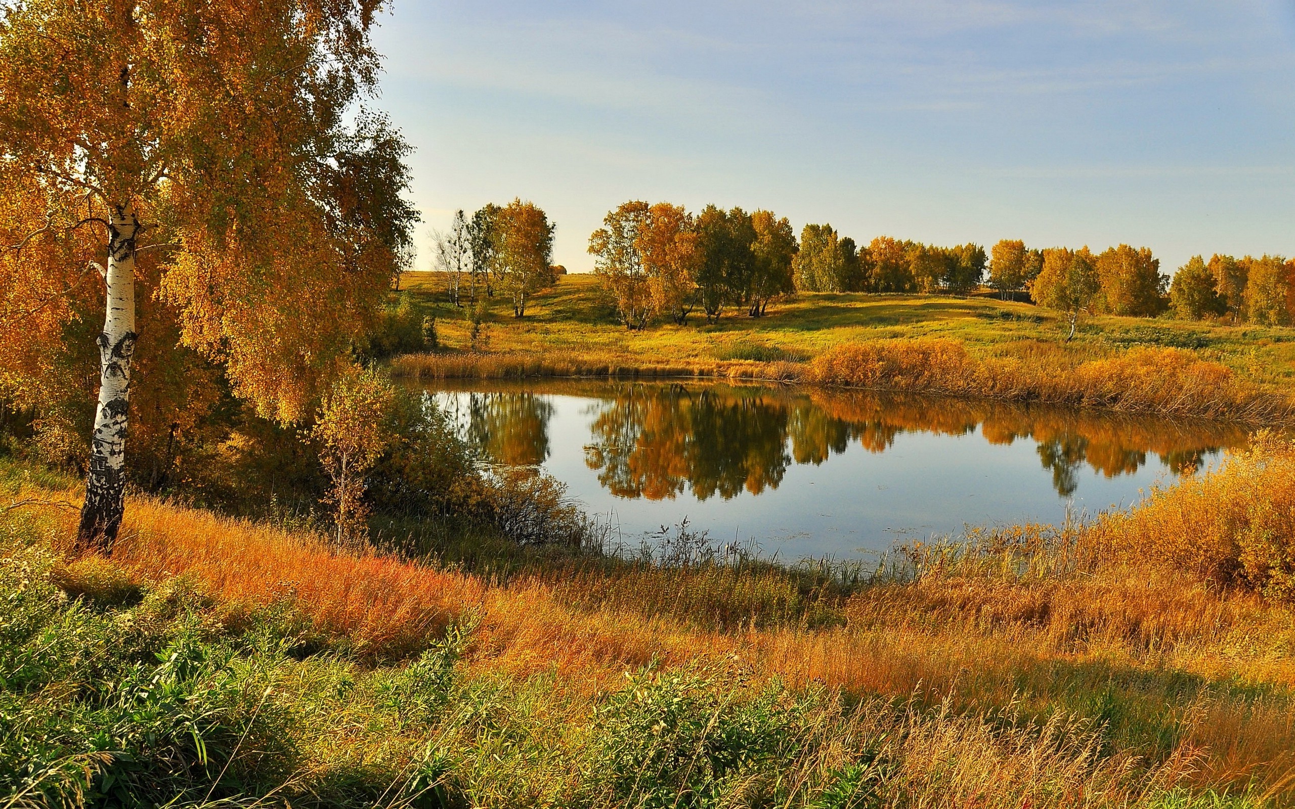 landscape Wallpaper