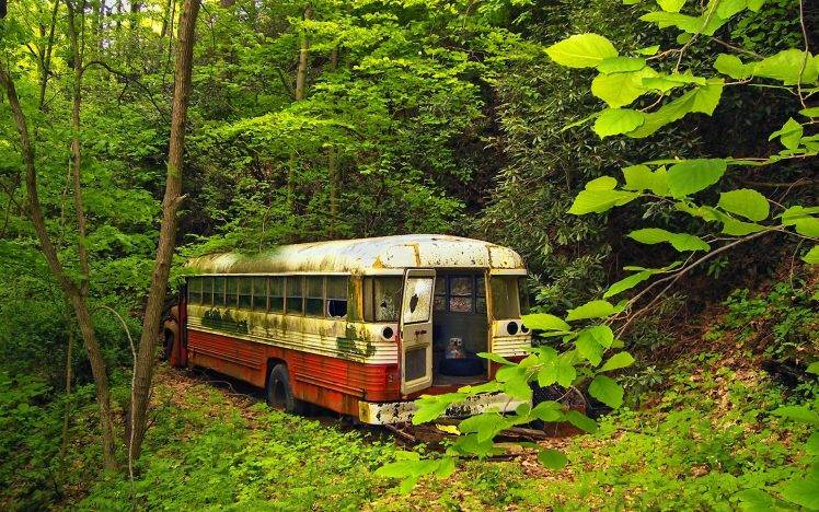nature, Trees, Forest, Buses, Abandoned HD Wallpaper Desktop Background