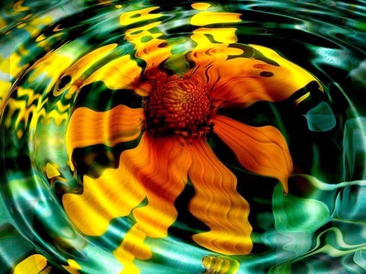 flowers, Ripples, Water, Yellow Flowers HD Wallpaper Desktop Background