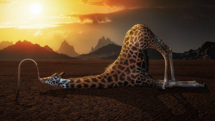 animals, Humor, Digital Art, Giraffes, Drink, Mountain, Sunlight, Tongues, Faucets HD Wallpaper Desktop Background