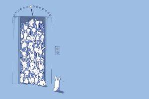 elevator, Rabbits, Humor, Simple, Minimalism, Blue