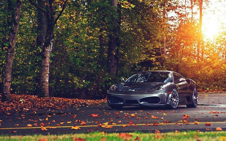 Ferrari, Ferrari F430, Car, Leaves HD Wallpaper Desktop Background