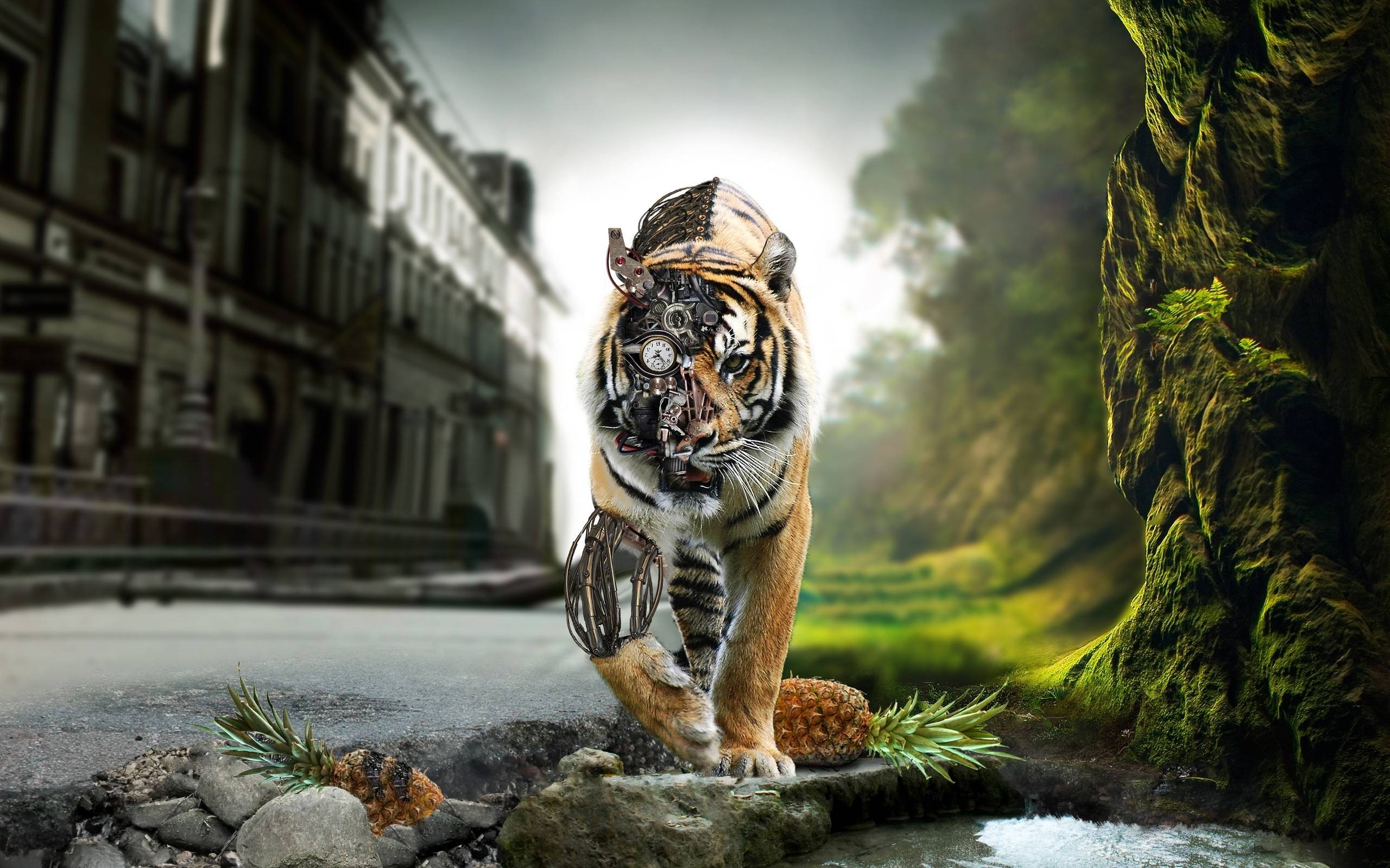 animals, Steampunk, Photo Manipulation, Splitting, Tiger, Clockwork