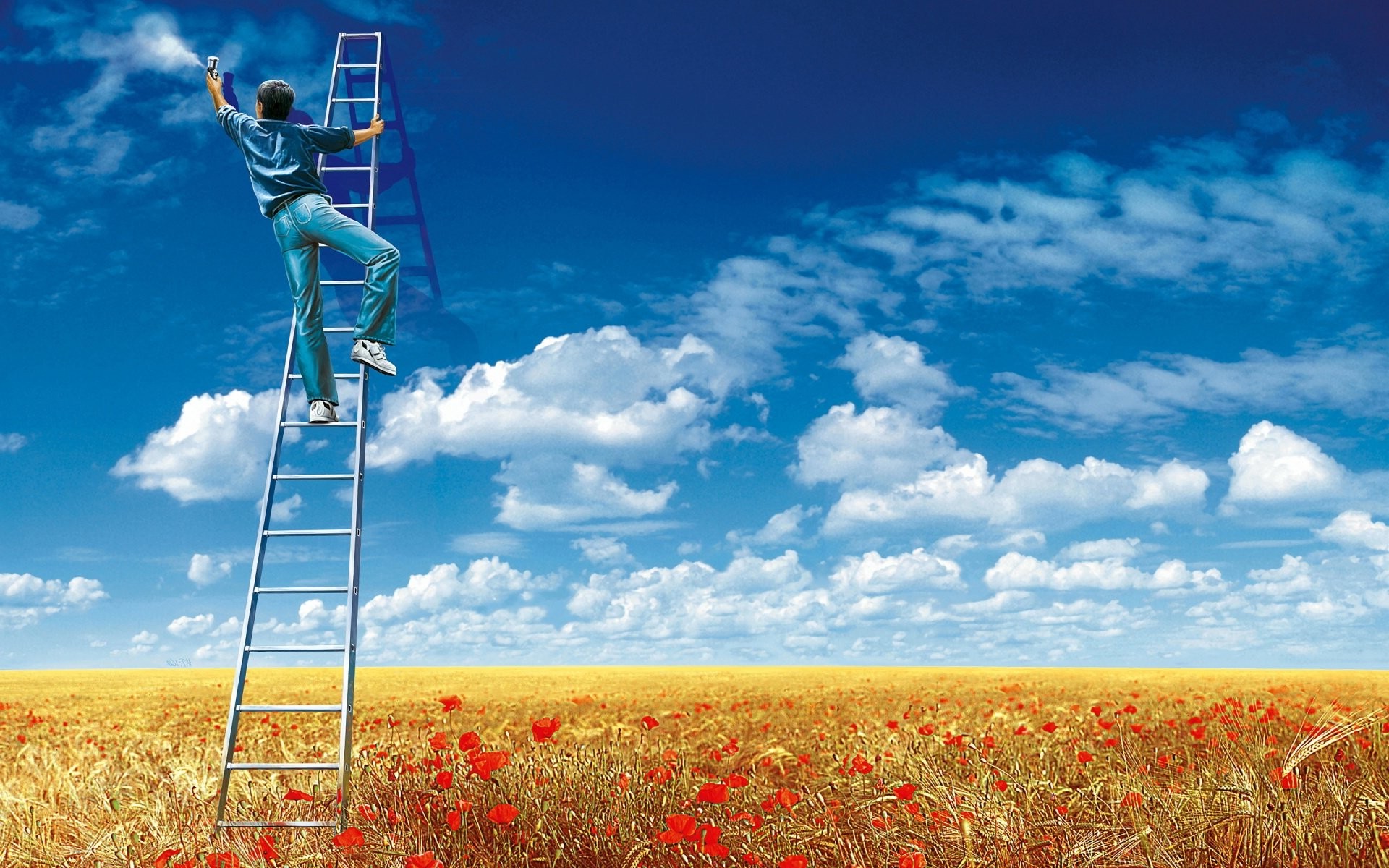 sky, Clouds, Field, Flowers, Ladders, Men, Spray, Digital Art, Creativity, Graffiti Wallpaper