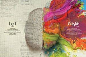 abstract, Brains, Science, Artwork, Anatomy