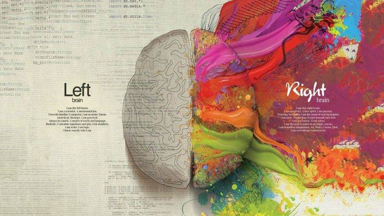 abstract, Brains, Science, Artwork, Anatomy HD Wallpaper Desktop Background