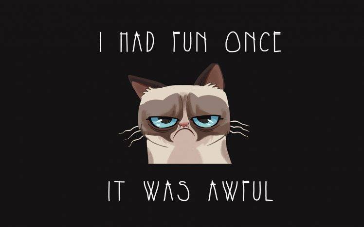 Humor Cat Cartoon Grumpy Wallpapers Hd Desktop And Mobile Backgrounds - Cat Wallpaper Cartoon Hd