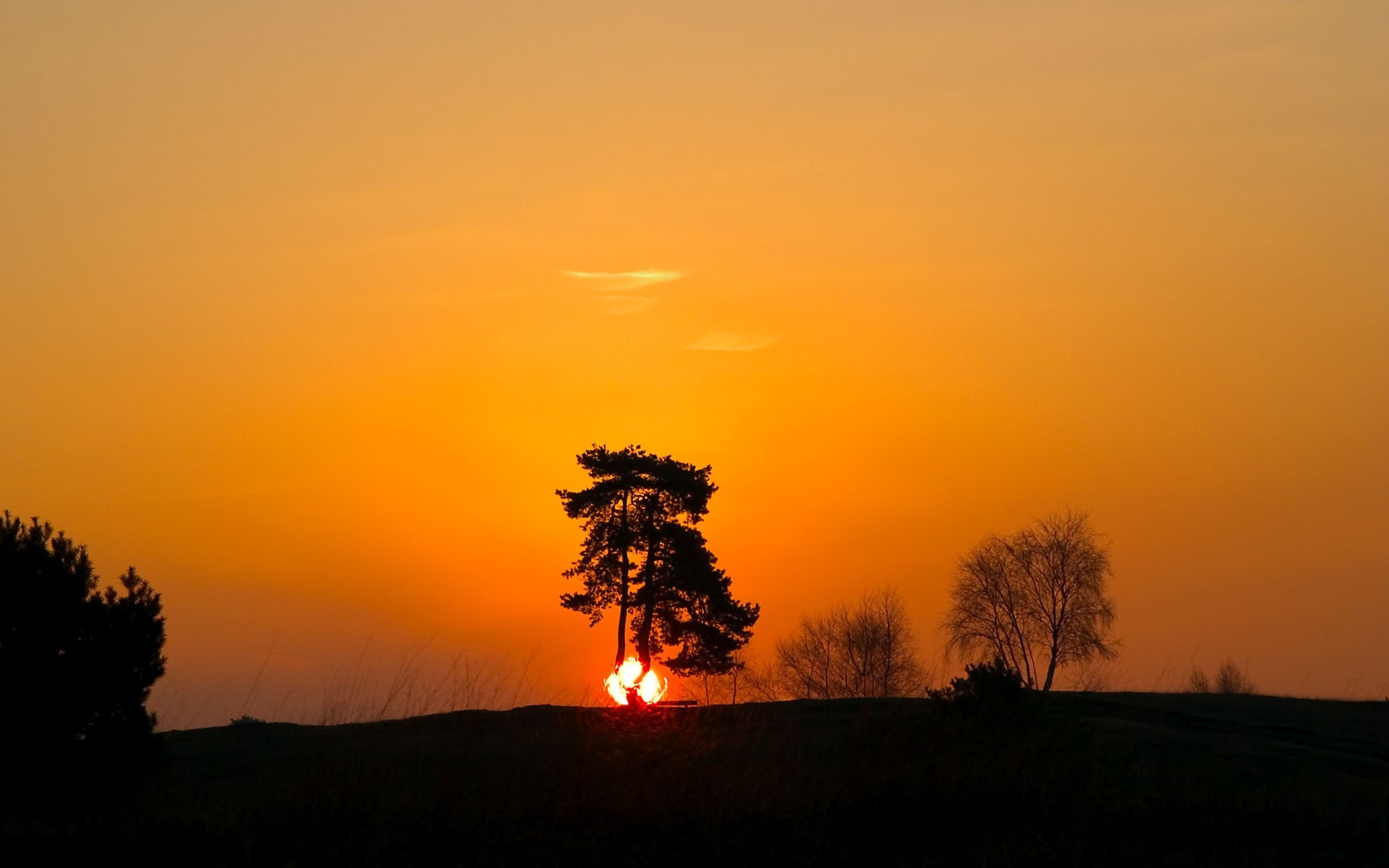 landscape, Sunset Wallpaper