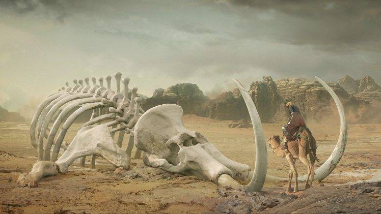 digital Art, Desert, Skeleton, Mammoths, Camels, Men, Bones, Rock, Animals HD Wallpaper Desktop Background