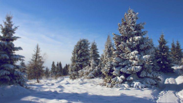 nature, Winter, Landscape, Snow HD Wallpaper Desktop Background